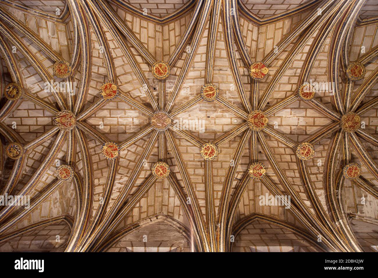 Vaulted Ceiling of the Cathedral of Santa Maria in Cuenca, Spain. Stock Photo
