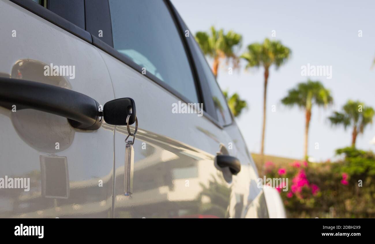 Car key ring left on white vehicle door lock with palm trees on background. Auto rental, buy new vehicle, left behind, summer holidays carelessness Stock Photo