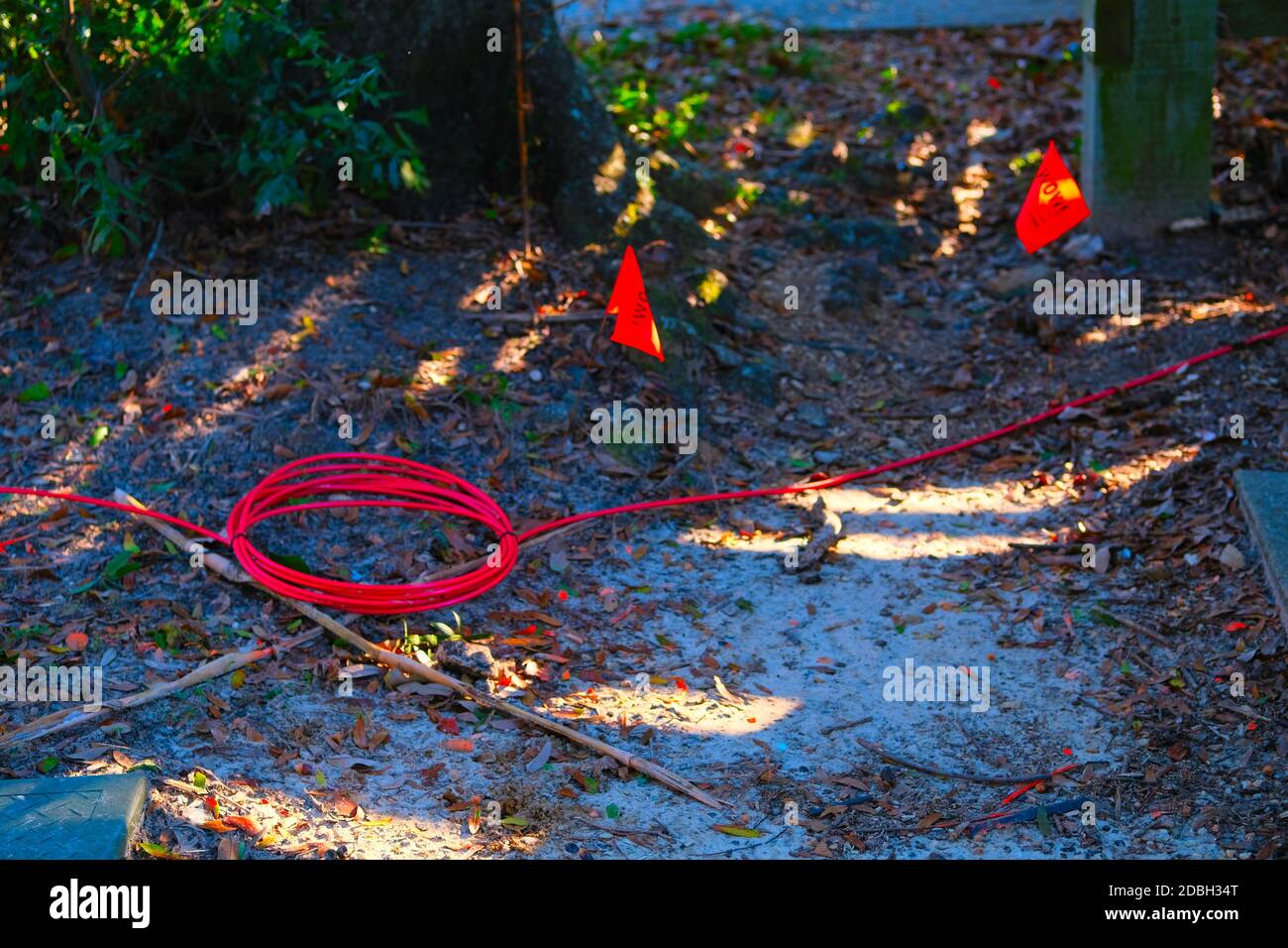 Urban Gardens, Cabbage, Kale, Sign, Chard, Sticks, Tomatoes, Peppers, Blue Fan, Red, Hose, Pot Stock Photo