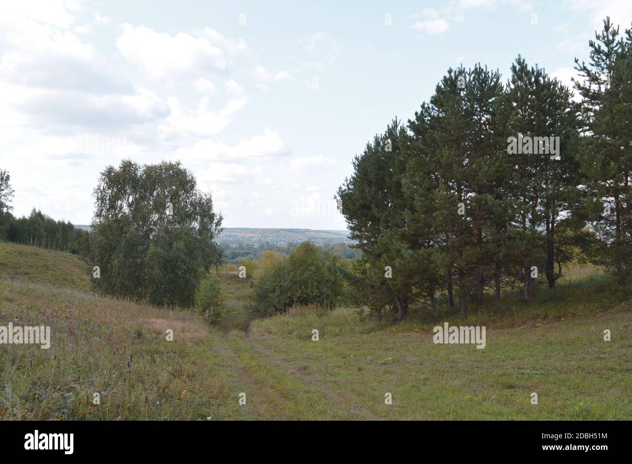 summer landscape with rural road and plants Stock Photo - Alamy