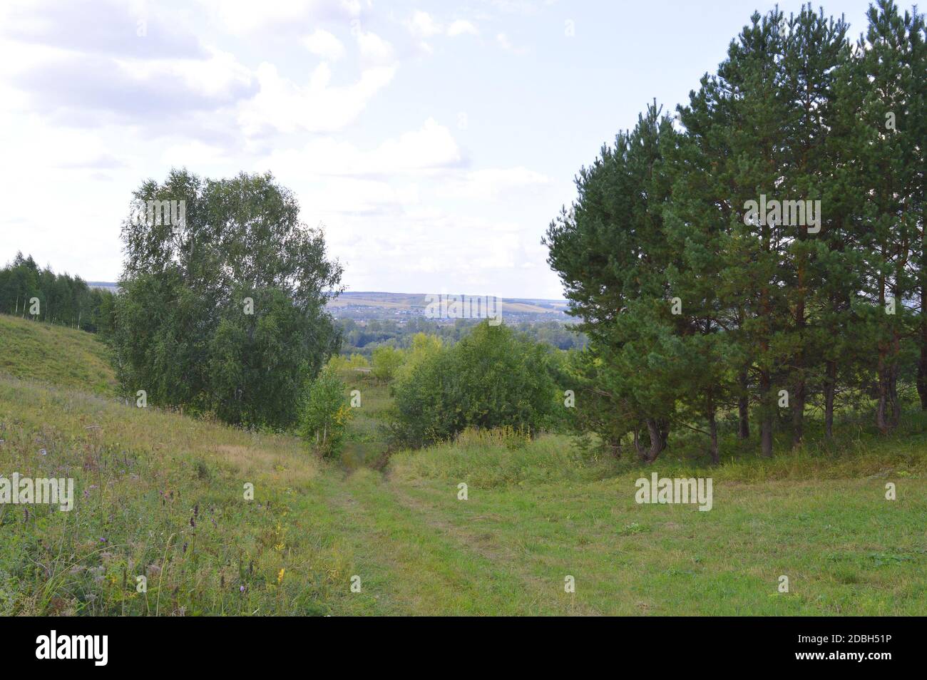 summer landscape with rural road and plants Stock Photo - Alamy