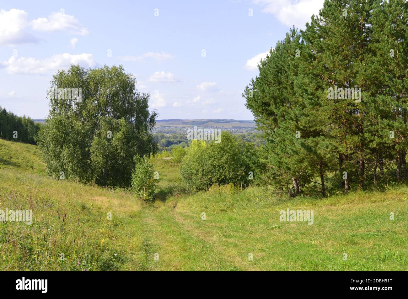 summer landscape with rural road and plants Stock Photo - Alamy