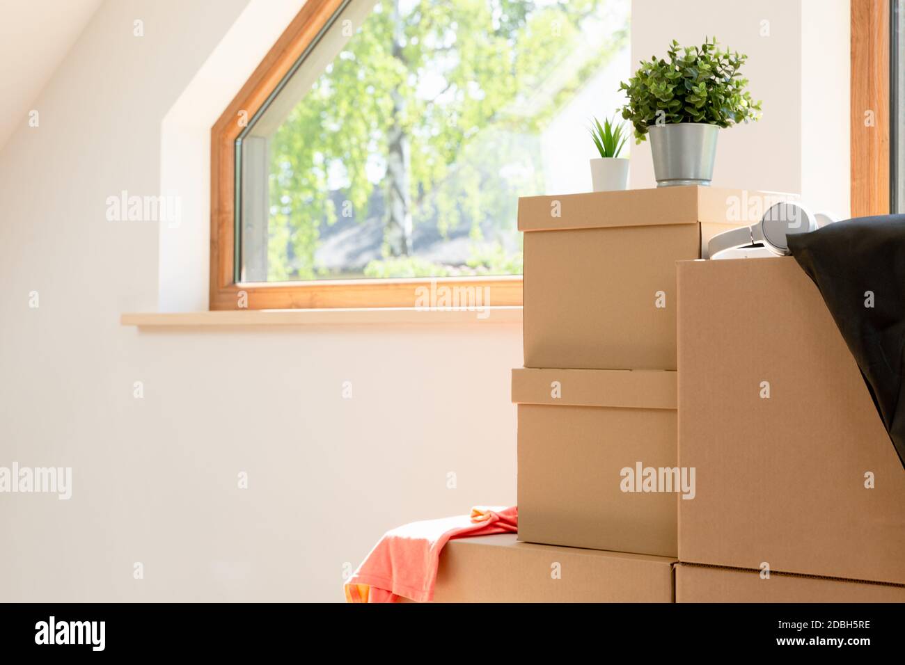 Move. Cardboard boxes for moving into a new, clean home. In a sunny day