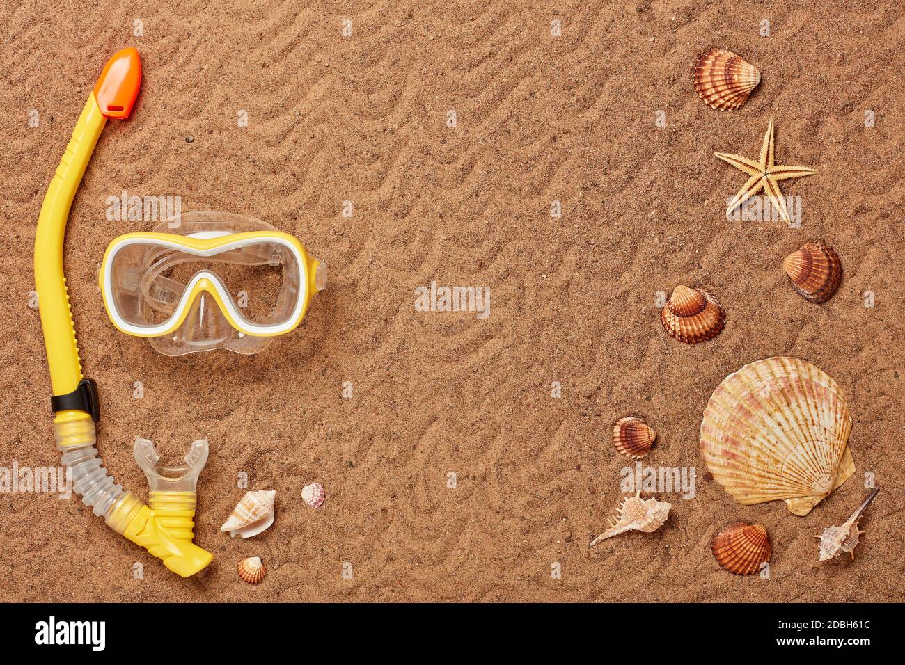 Equipment for snorkeling or diving ( mask and snorkle) and seashells on ...