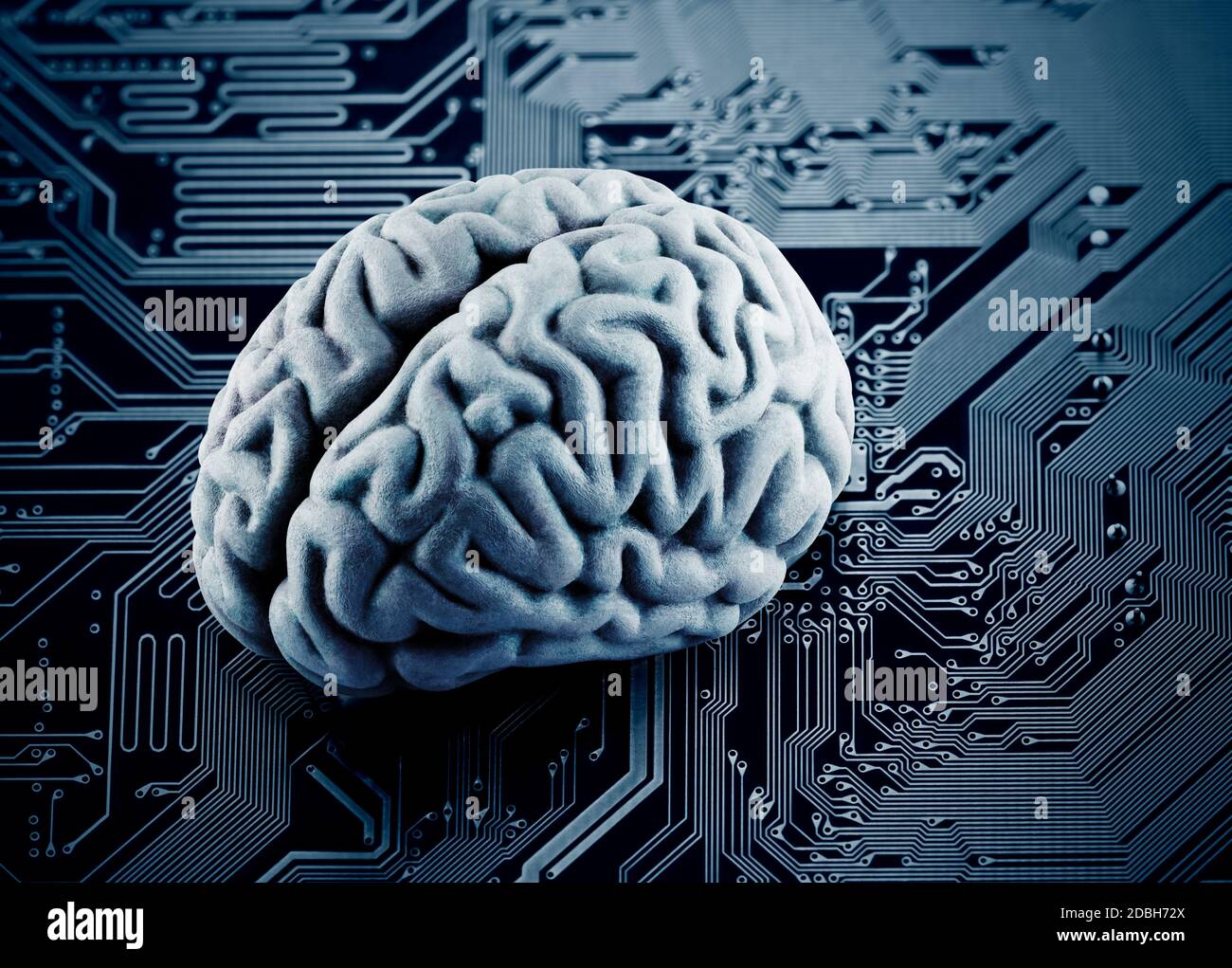 Human brain on computer circuit board Stock Photo