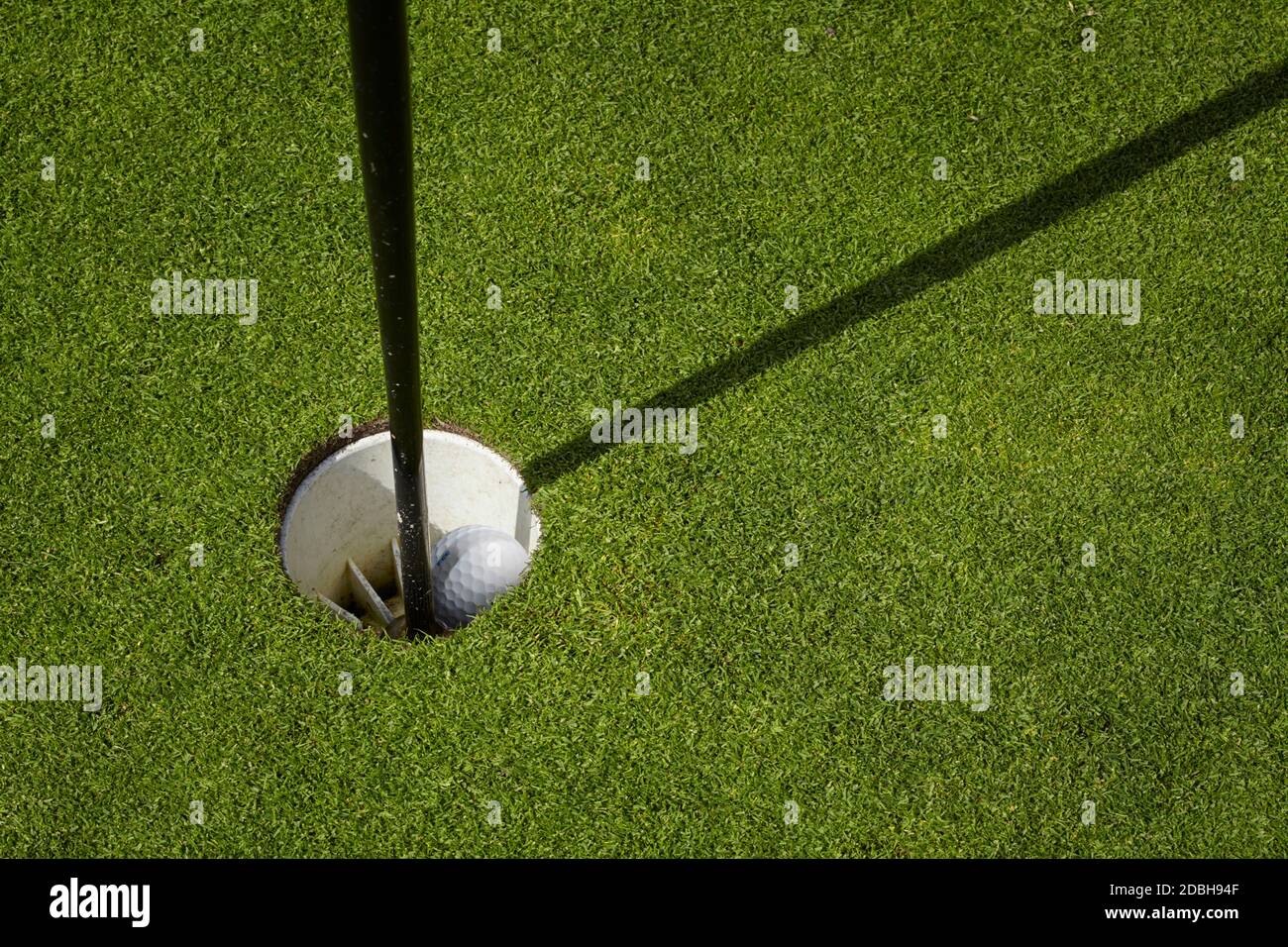 Golf ball sit inside cup on golf course putting green with flag. Stock Photo
