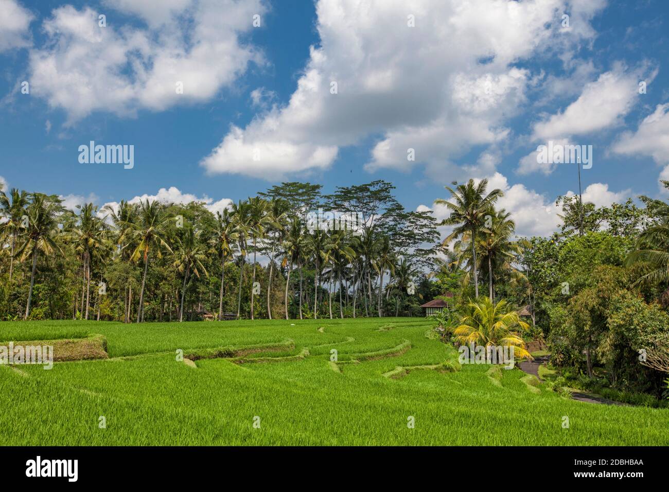 Best scenic Asian backgrounds and landscapes, people culture and nature of  Bali and Java islands, travel places in Indonesia Stock Photo - Alamy