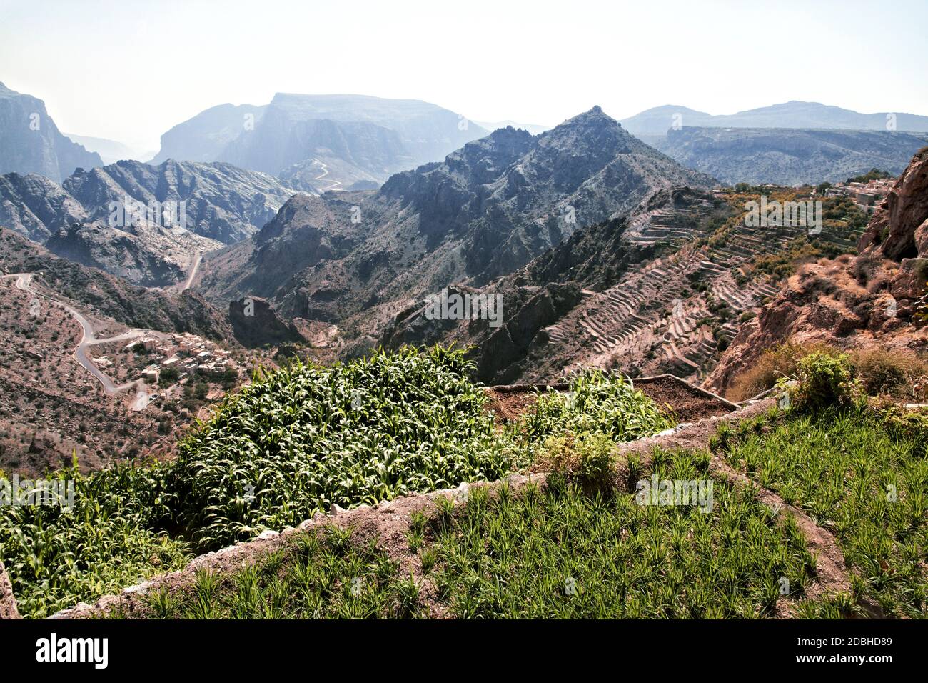 Image of landscape Saiq Plateau and terrace cultivation in Oman Stock Photo