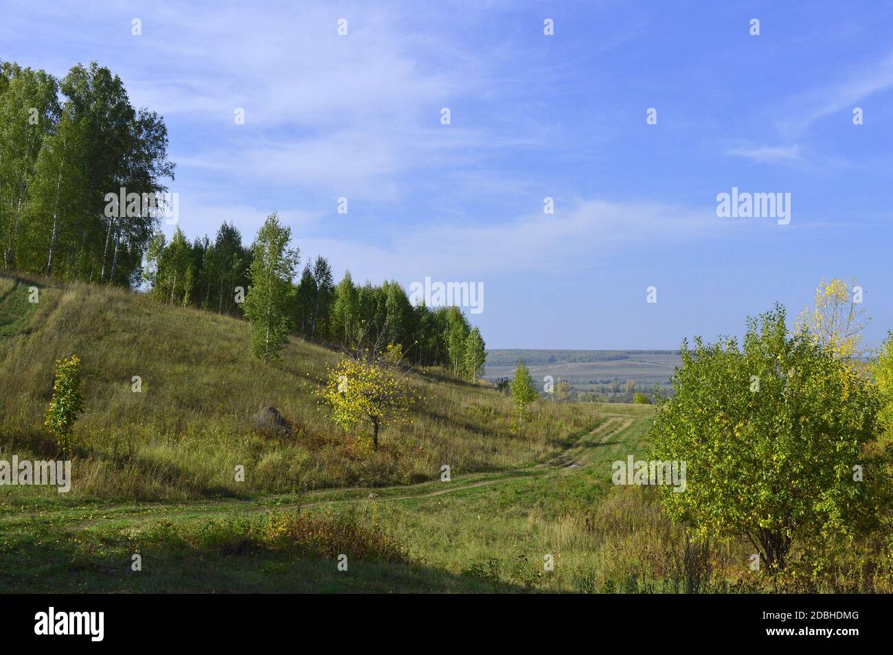 summer landscape with rural road and plants Stock Photo - Alamy