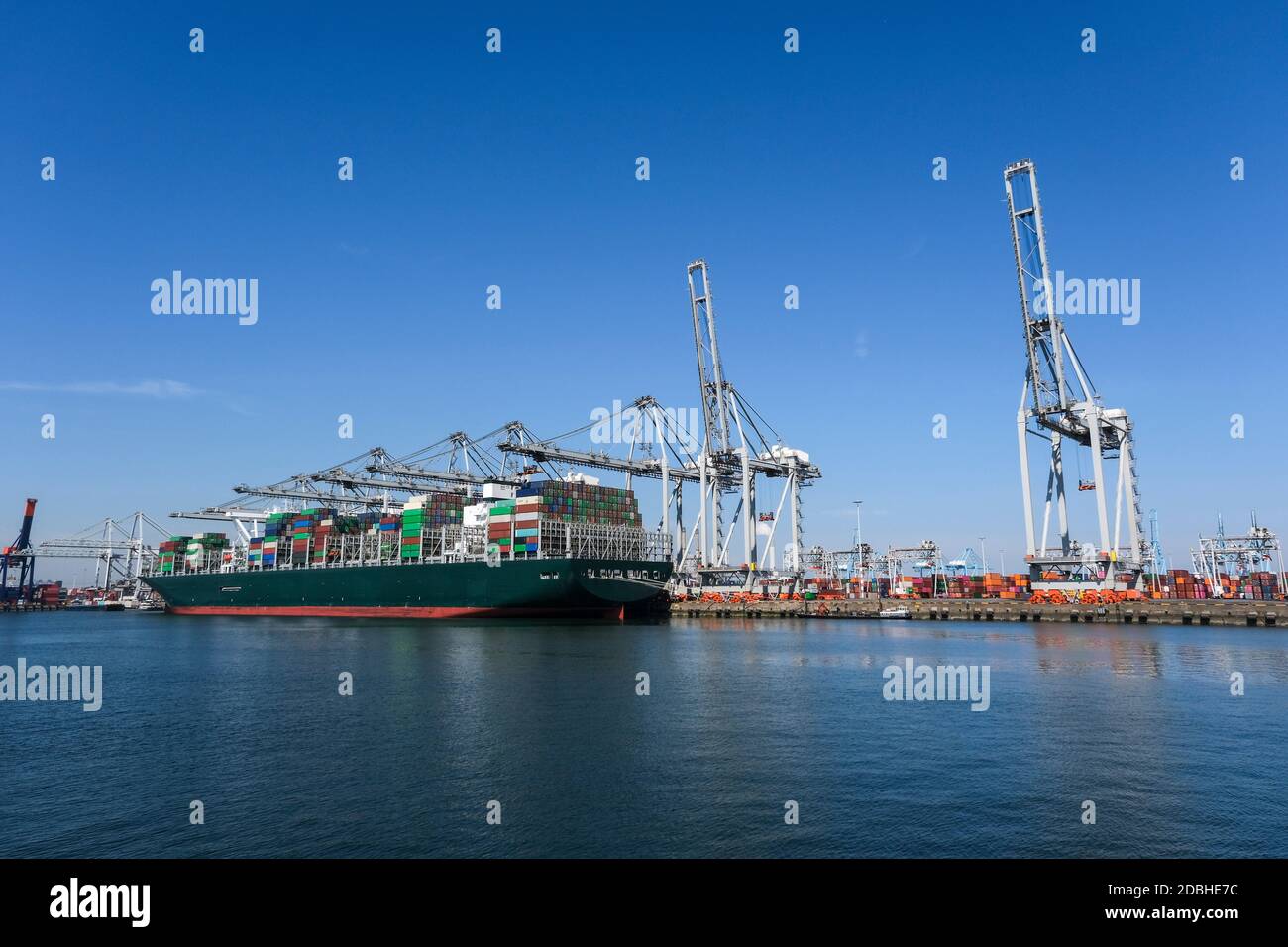 Huge cranes and ships anchored at harbor. International commercial port, city of Rotterdam background. Logistics business Stock Photo