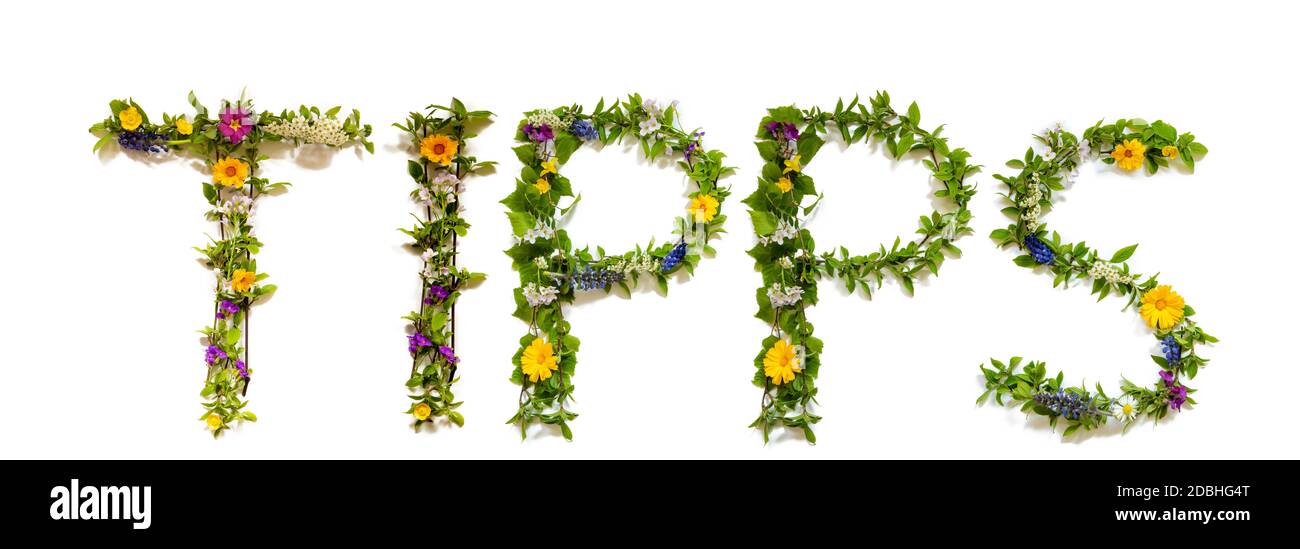 Flower, Branches And Blossom Letter Building German Word Tipps Means