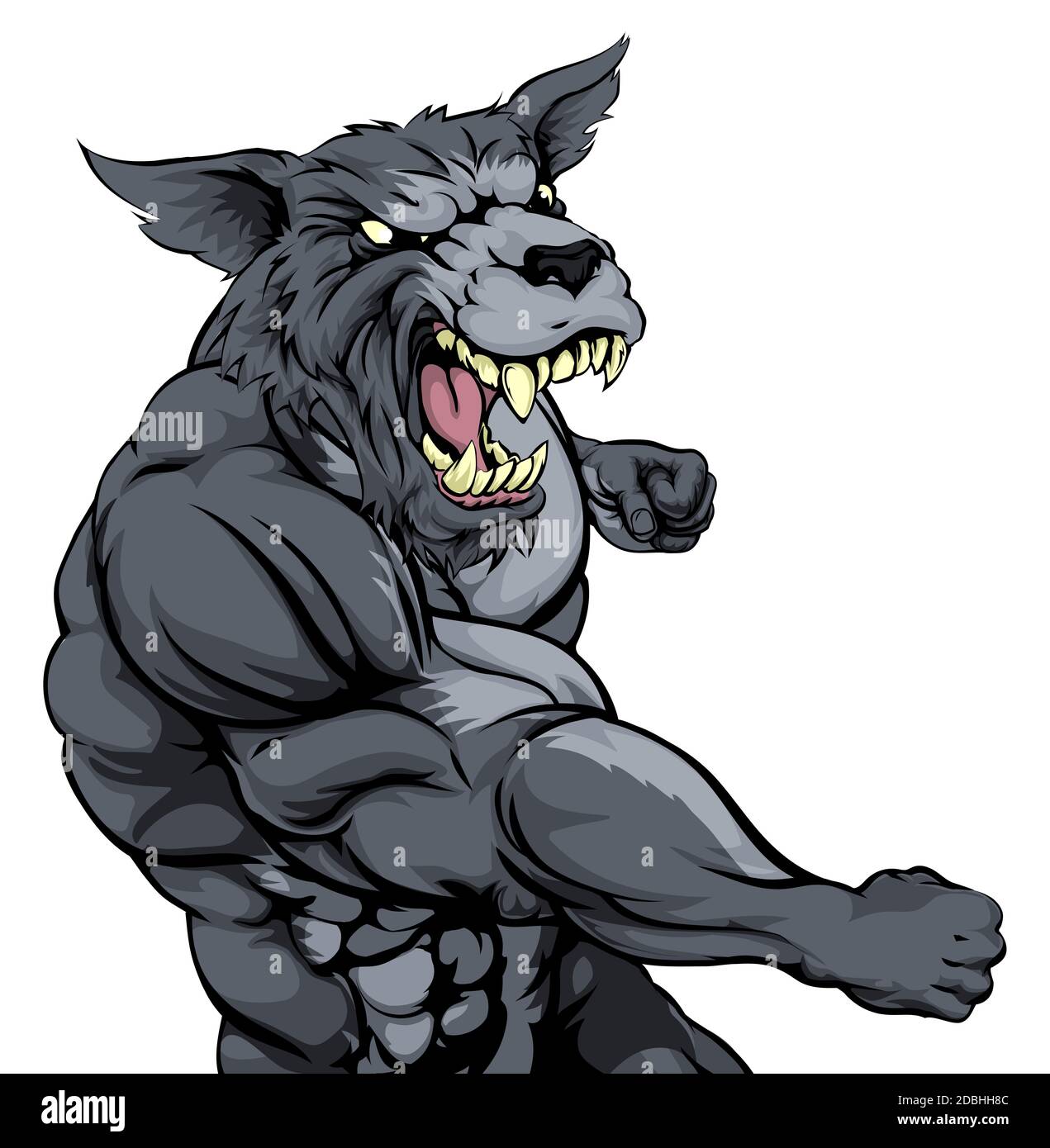 A tough muscular wolf character sports mascot attacking with a punch Stock Photo