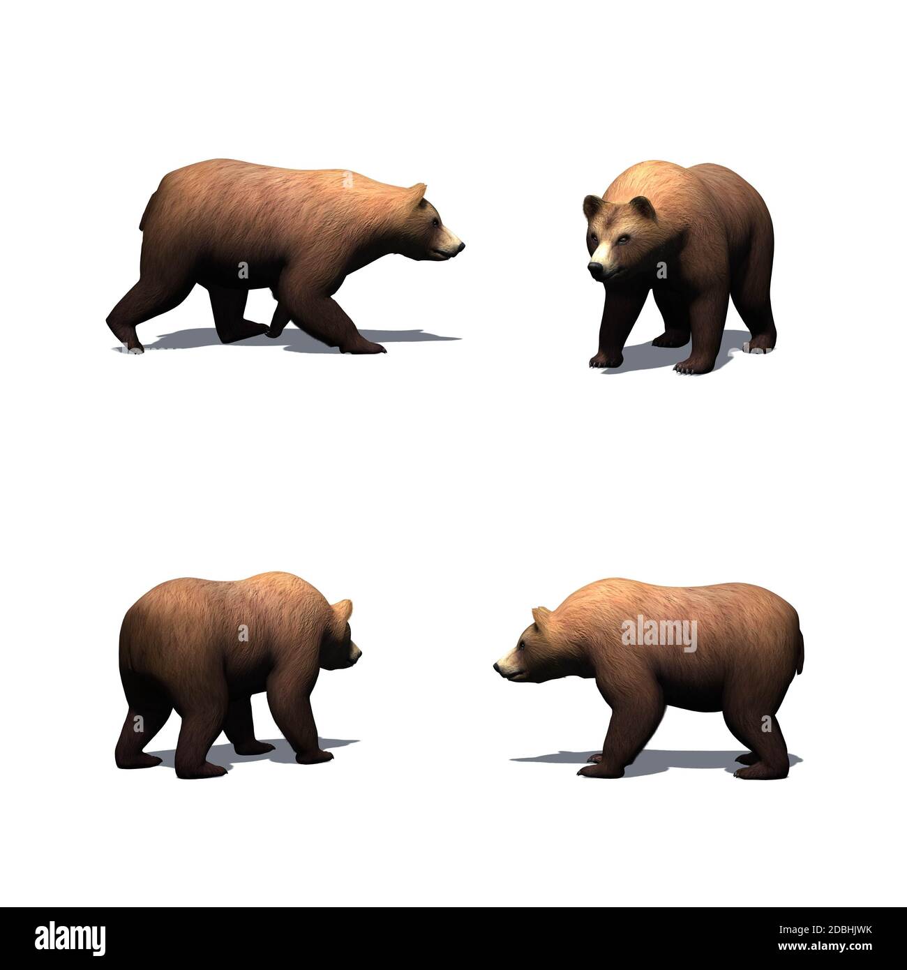 Set of brown bear - isolated on white background Stock Photo - Alamy