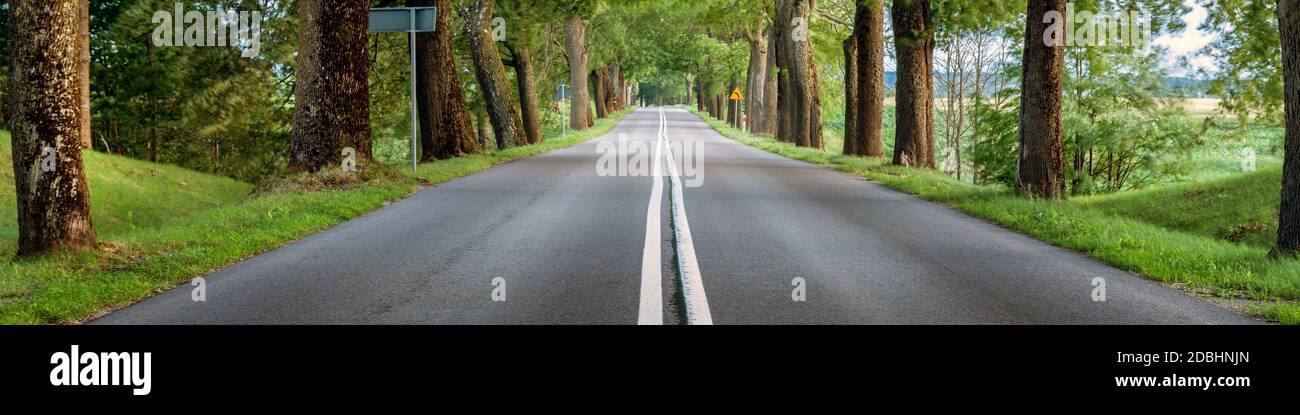 Countryside road with trees on both sides, empty asphalt street panorama Stock Photo