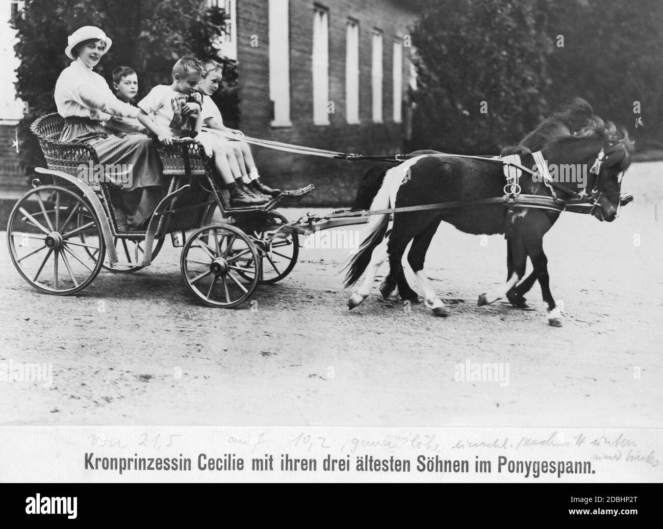Crown Princess Cecilie and her three eldest sons Wilhelm, Louis Ferdinand and Hubertus of Prussia (from left to right) sit in a woven bast carriage and are pulled by two ponies. Louis Ferdinand is holding two dolls, among them a monkey. The picture was taken in 1914. Stock Photo
