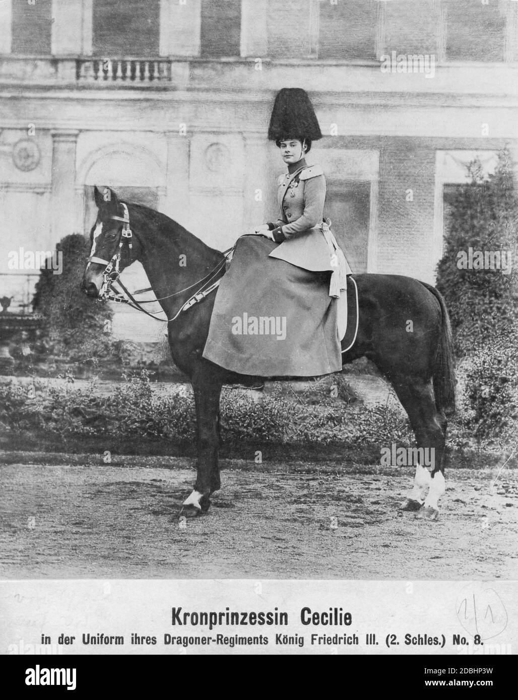 Crown Princess Cecilie in the uniform of the Dragoner-Regiments Koenig Friedrich III. (2. Schlesisches) Nr. 8. The photo was taken by the court photographers Selle and Kuntze from Potsdam. Stock Photo