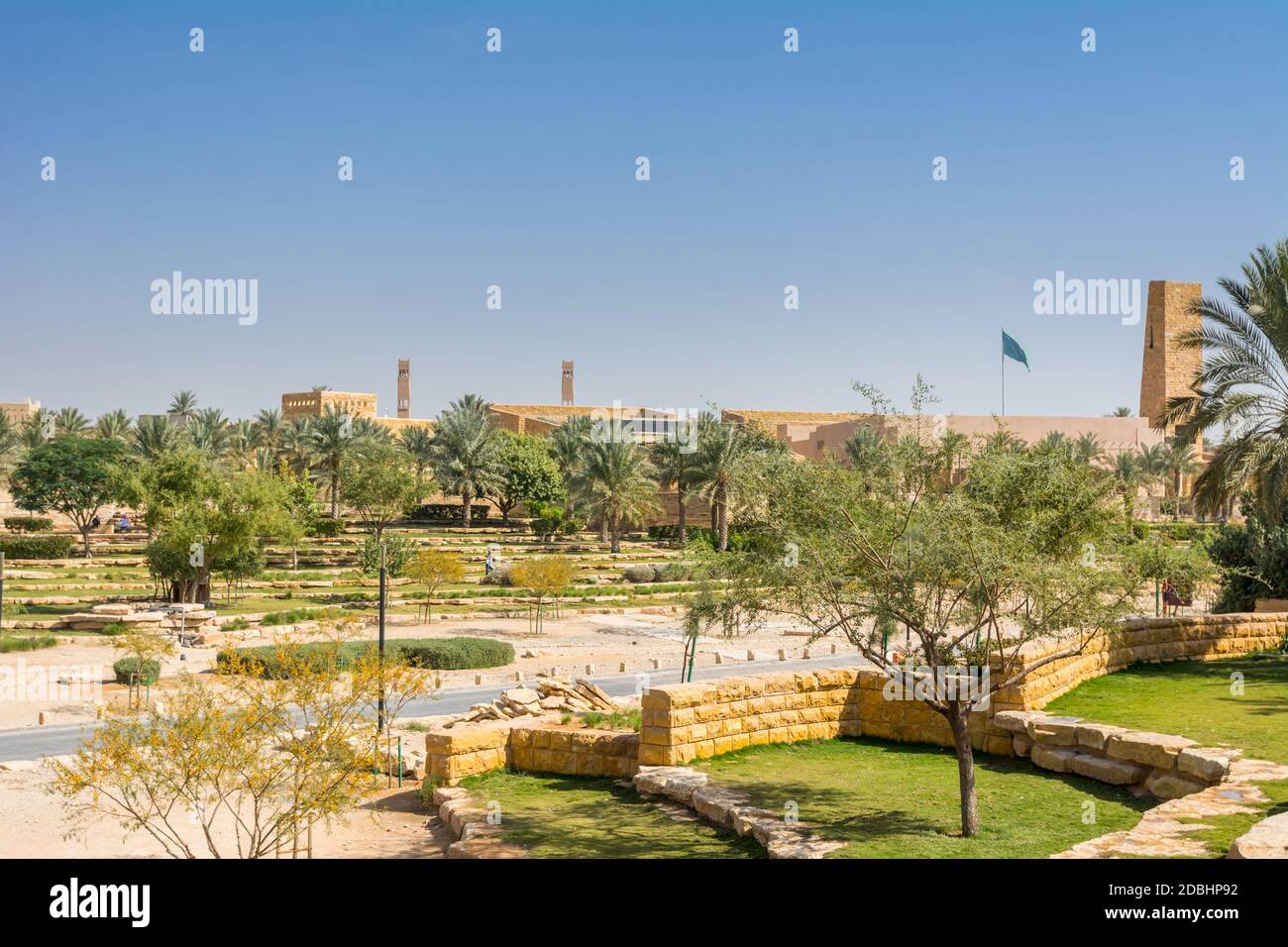 Green date trees growing in the park in the Ruins of Diraiyah, also as ...