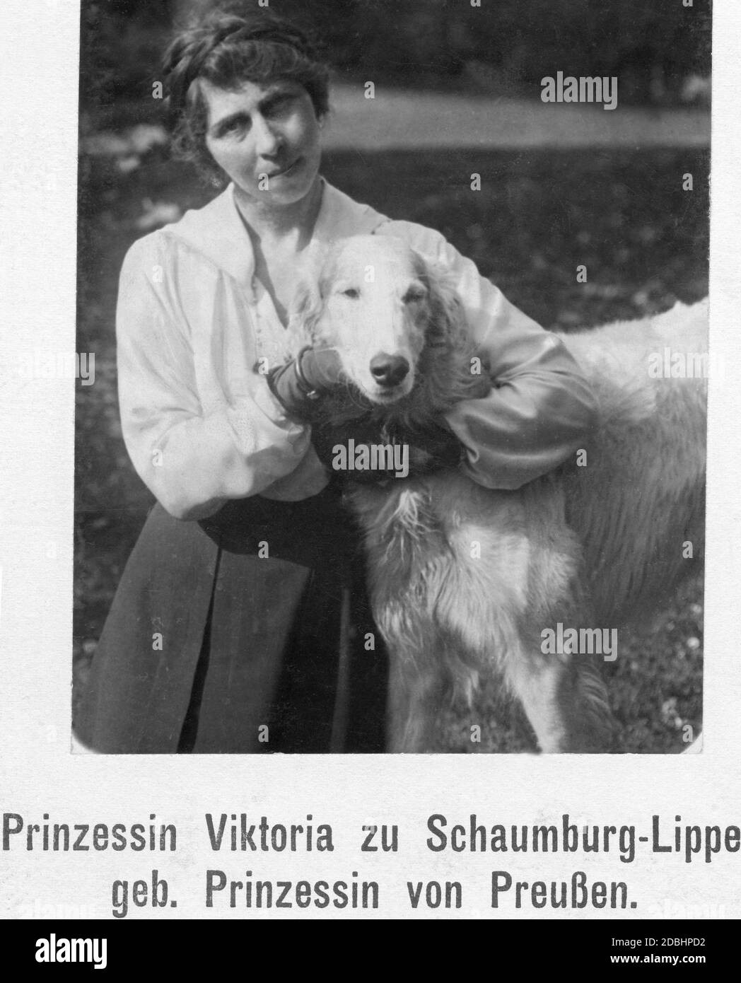 Princess Viktoria of Schaumburg-Lippe (born of Prussia, sister of Wilhelm II) stroking a dog. Stock Photo