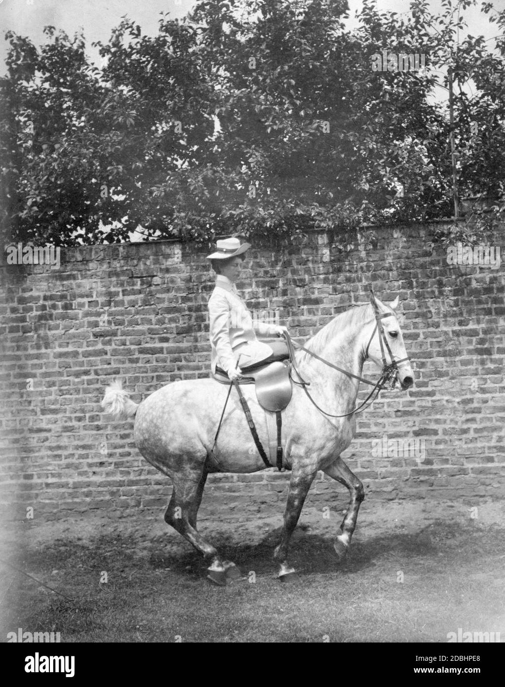 Princess Viktoria of Schaumburg-Lippe (born of Prussia, sister of Wilhelm II) trains a horse. Photo taken in 1907. Stock Photo