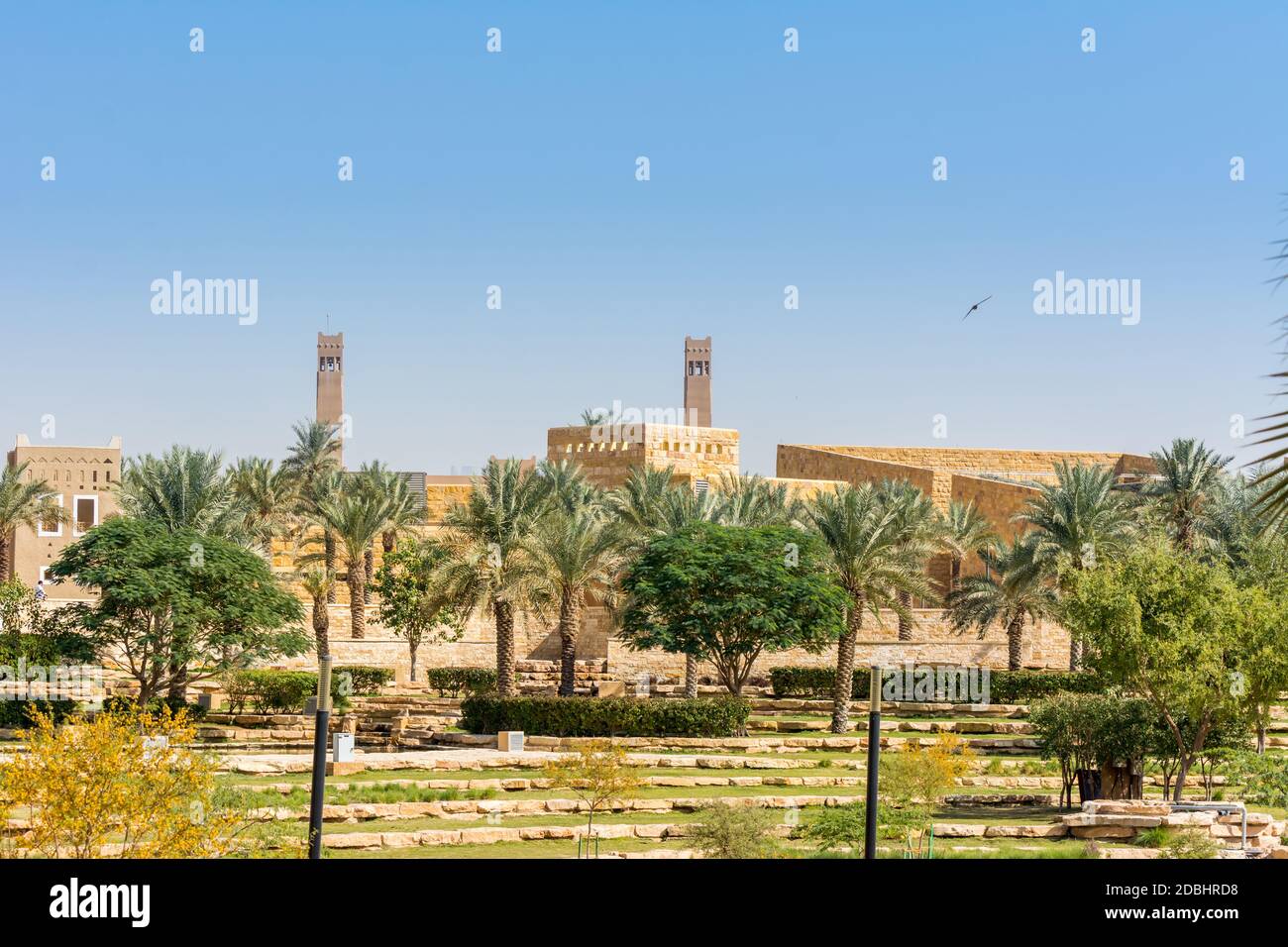 Green date trees growing in the park in the Ruins of Diraiyah, also as ...