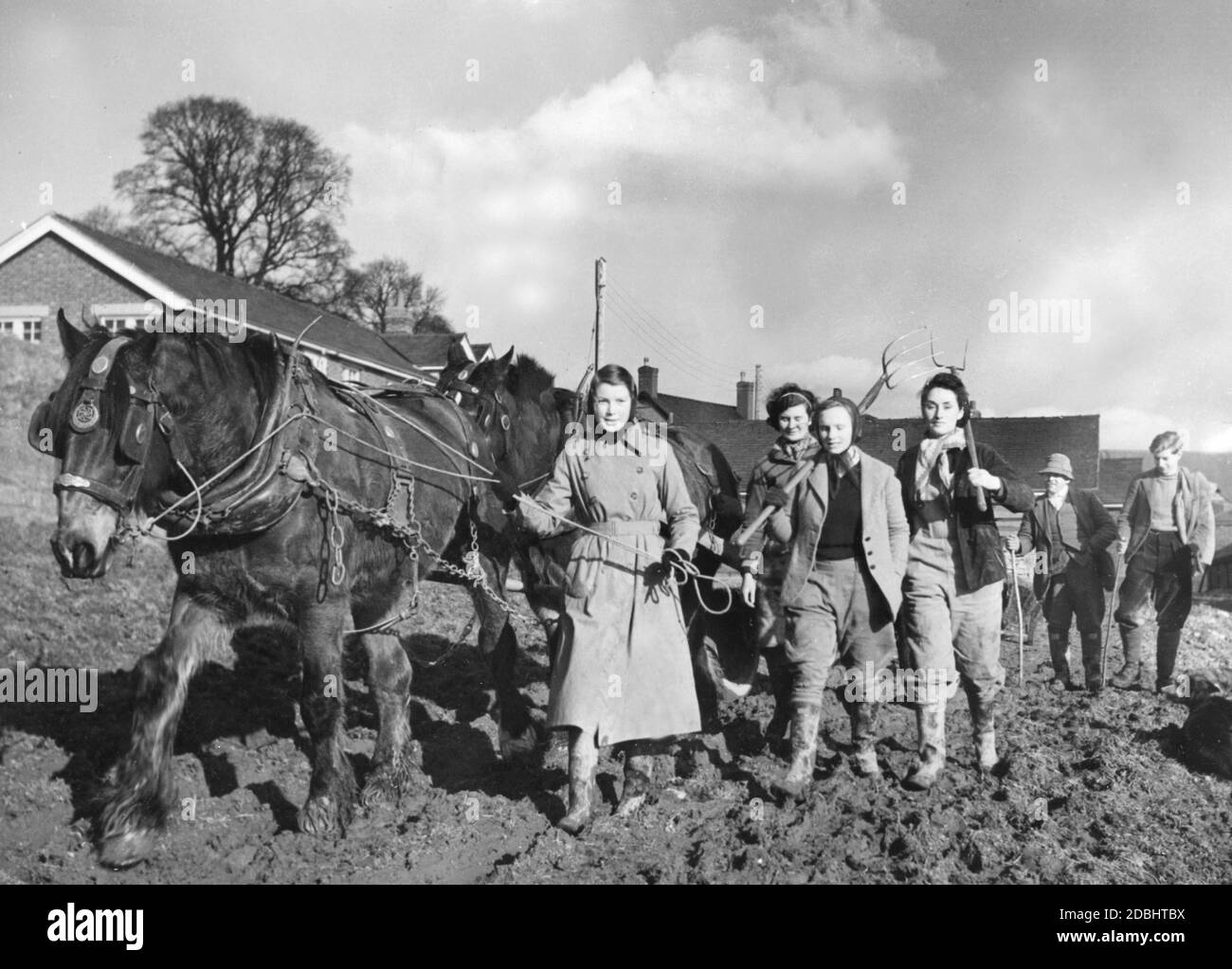 Members of the Women's Land Army plowing a field. Stock Photo