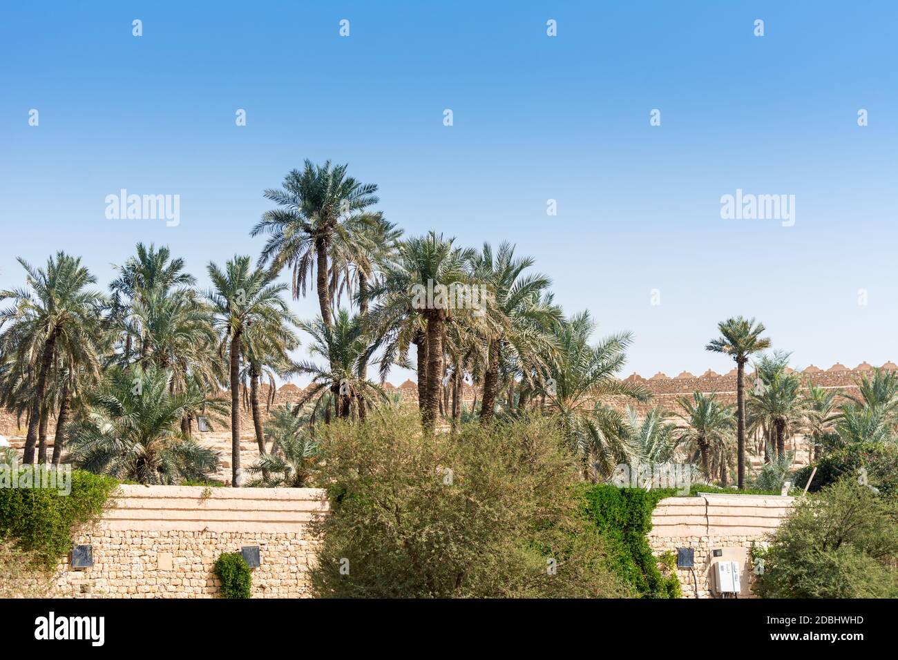 Palm garden riyadh hi-res stock photography and images - Alamy