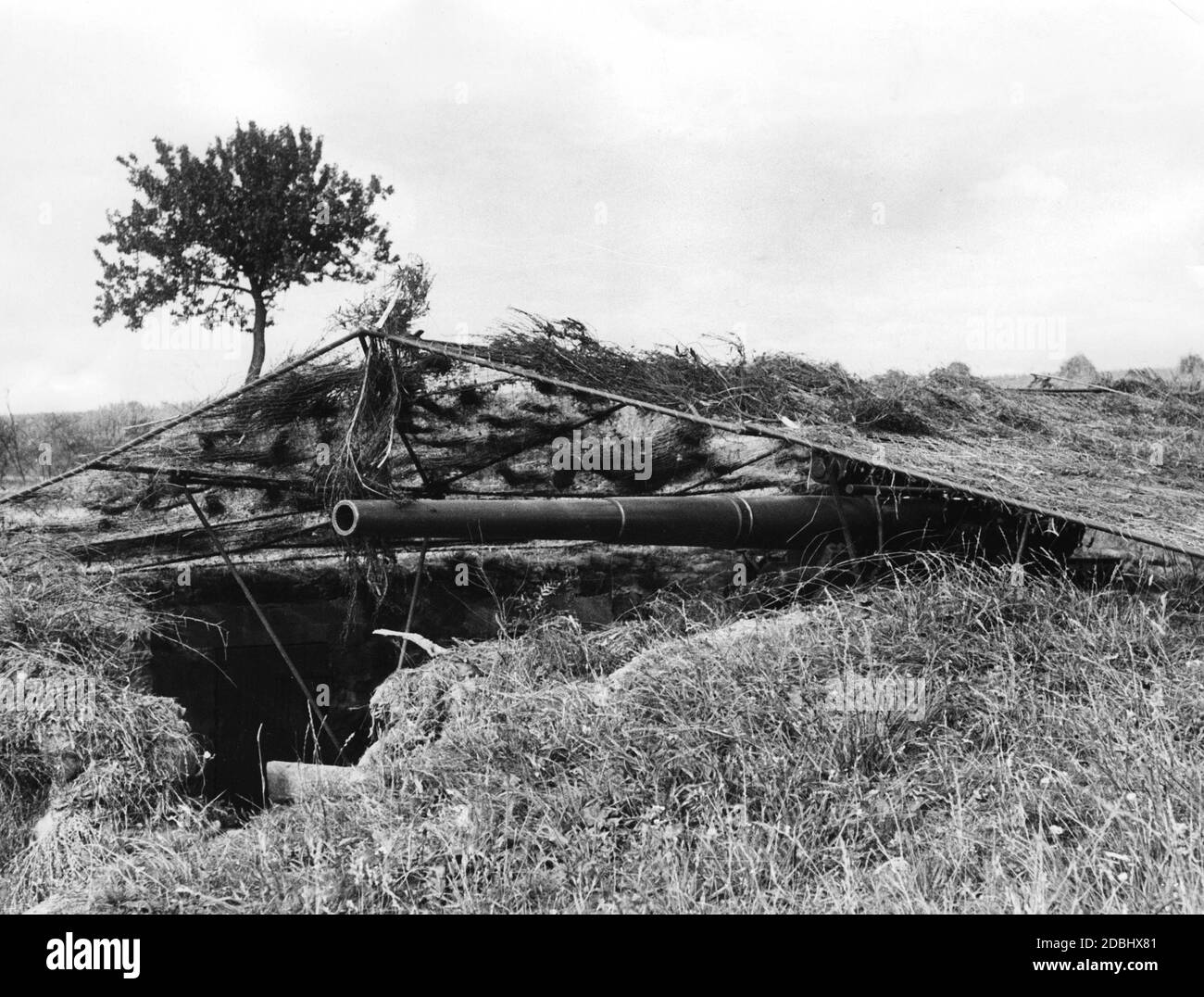 'Photograph of a camouflaged anti-aircraft gun during a press tour in the ''Western Air Defense Zone''. The reports on the ''Siegfried Line'' were intended to reduce the population's fear regarding an imminent war on two fronts.' Stock Photo