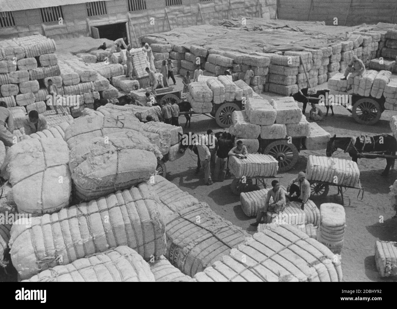Warehouse of a cotton merchant in a city in China. The cotton is delivered and stacked by the farmers. Stock Photo