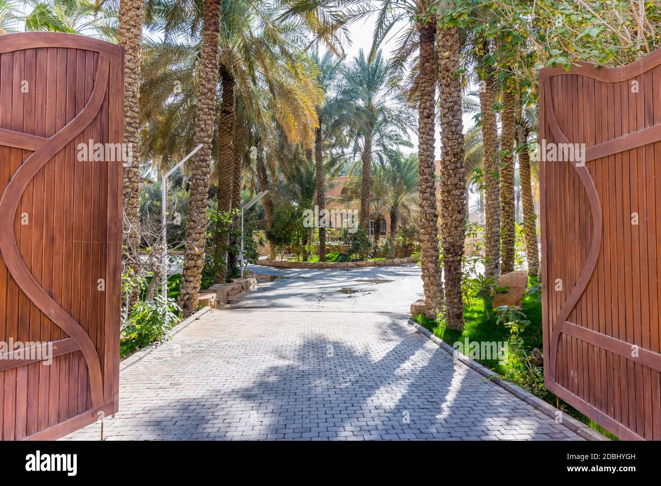 Saudi arabia landscape riyadh oasis hi-res stock photography and images ...