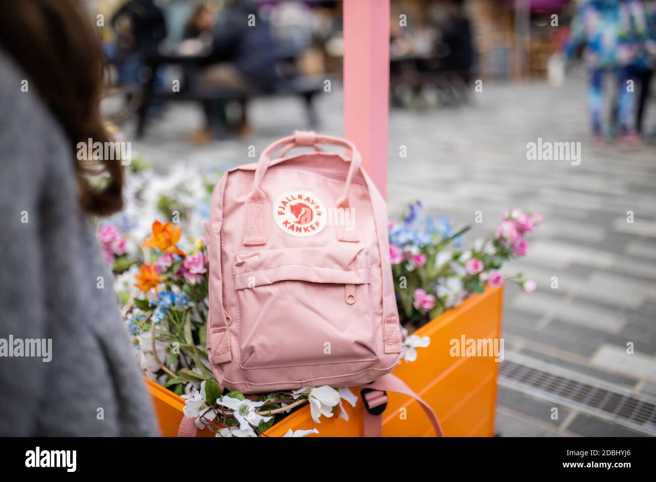 Pink backpack on top of flowers and plants with a street as background Stock Photo
