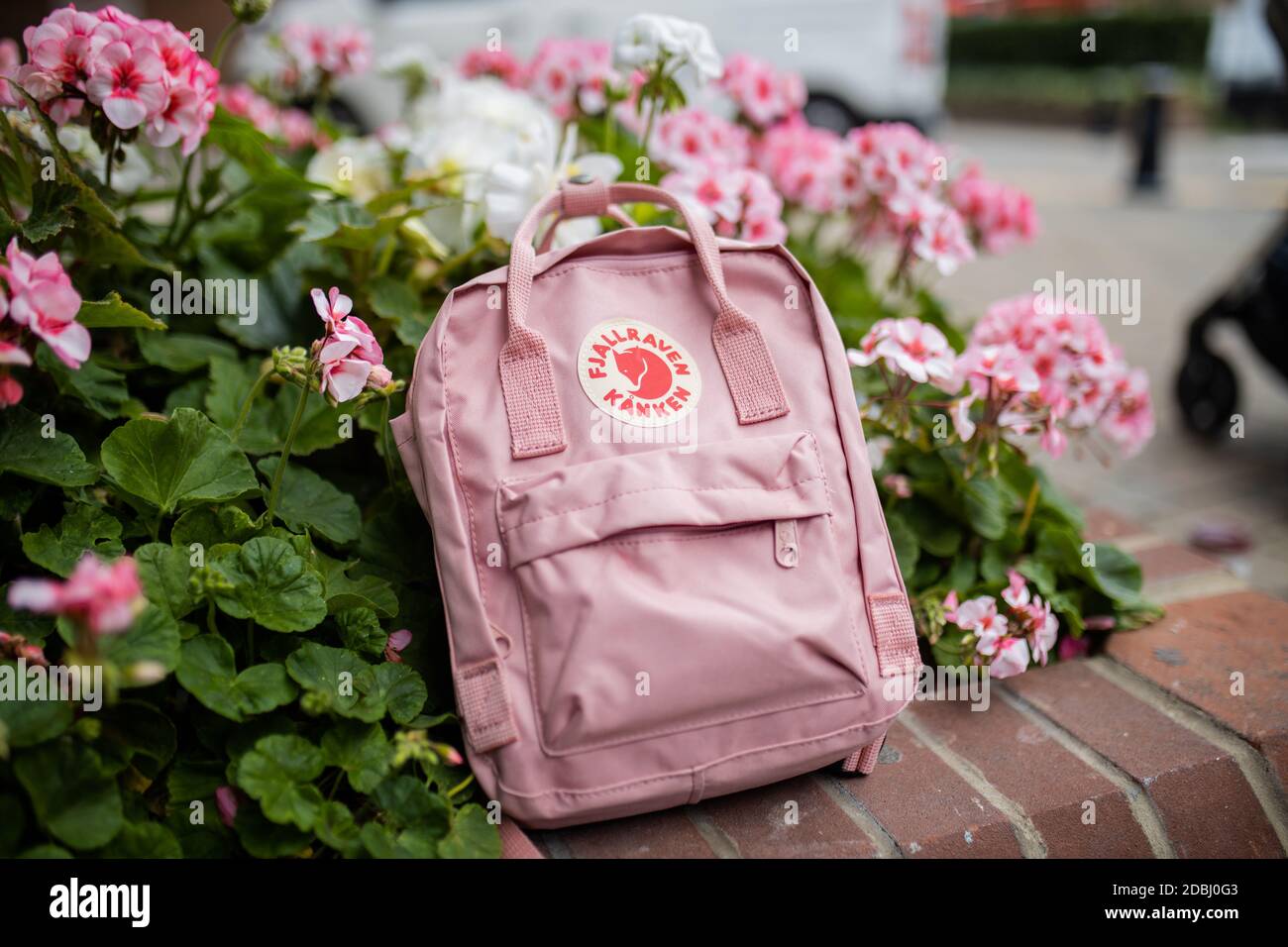 Pink backpack on a brick planter with plants and pink flowers Stock Photo
