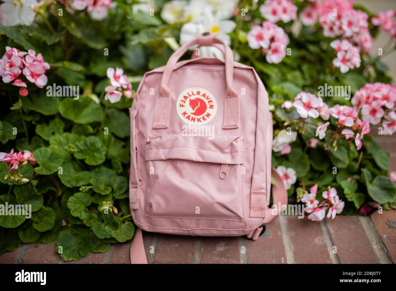 Pink backpack on a brick planter with plants and pink flowers Stock Photo