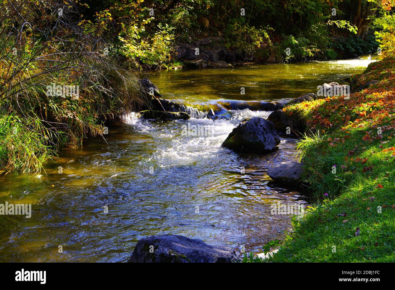 Gurgling stream rushing down a remote gorge in Euboea island, Greece Stock  Photo - Alamy