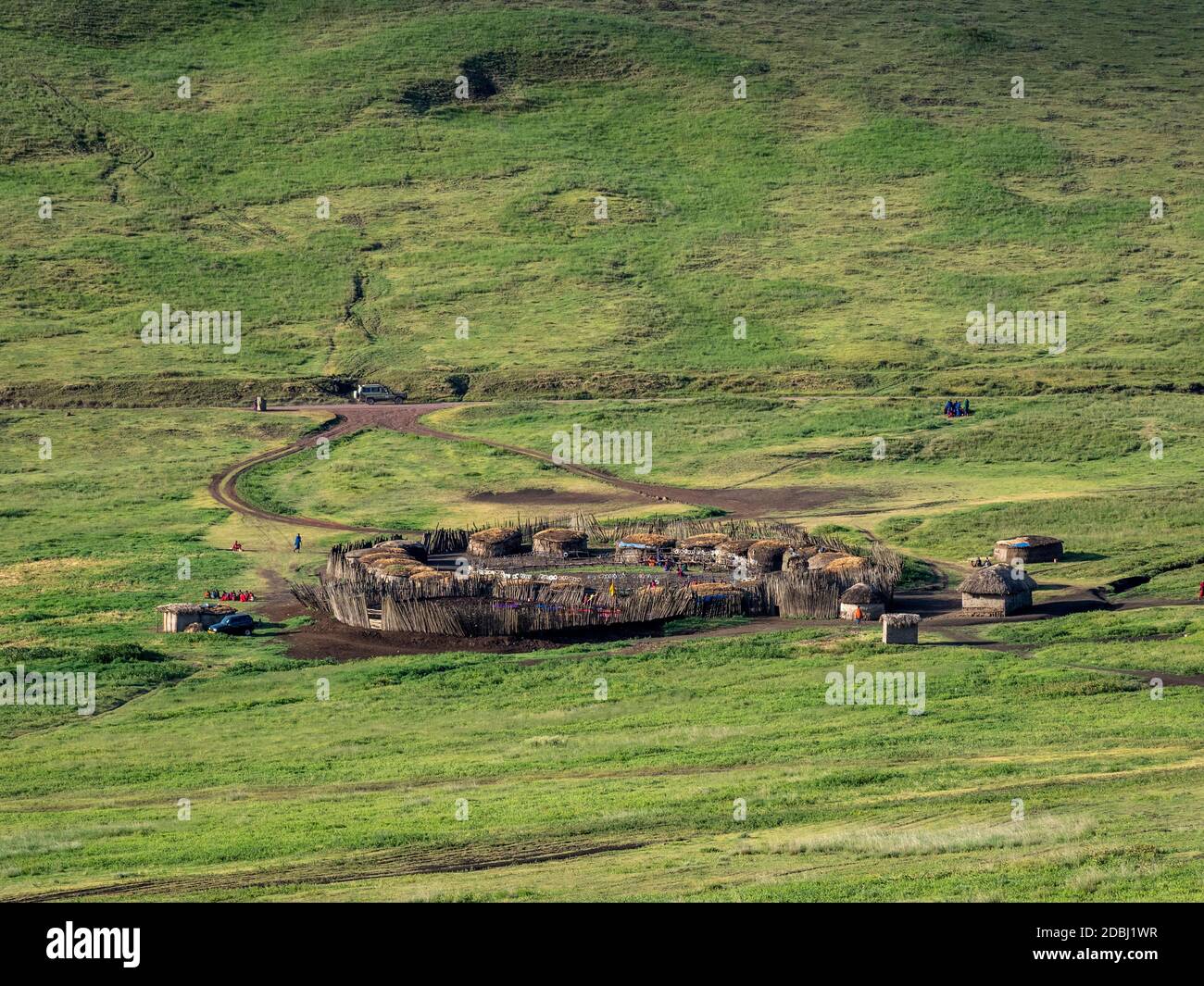 Traditional Maasai village in the Ngorongoro Conservation Area, Tanzania, East Africa, Africa Stock Photo