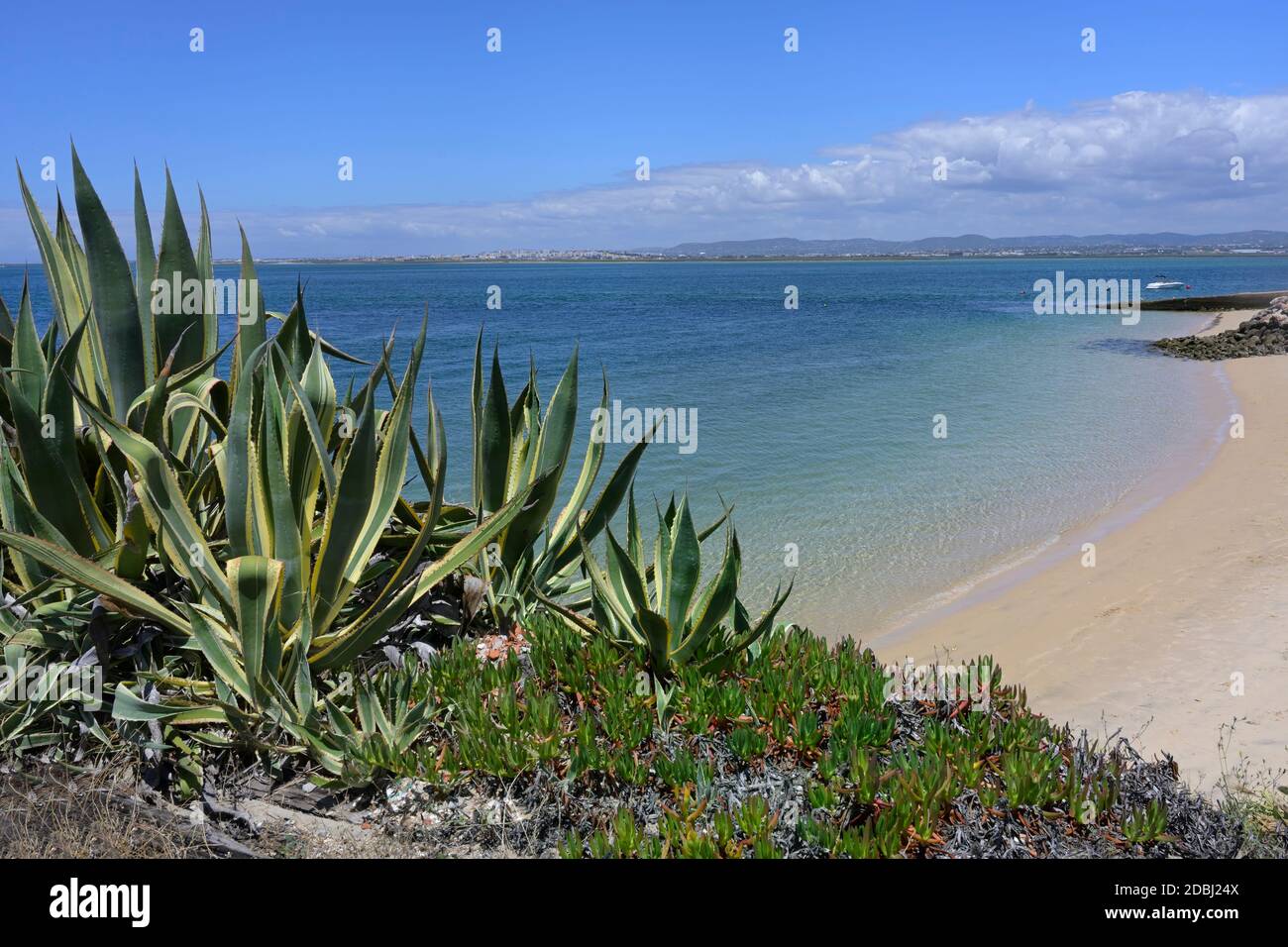 Farol village beach, Culatra Island, Olhao, Algarve, Portugal, Europe Stock Photo