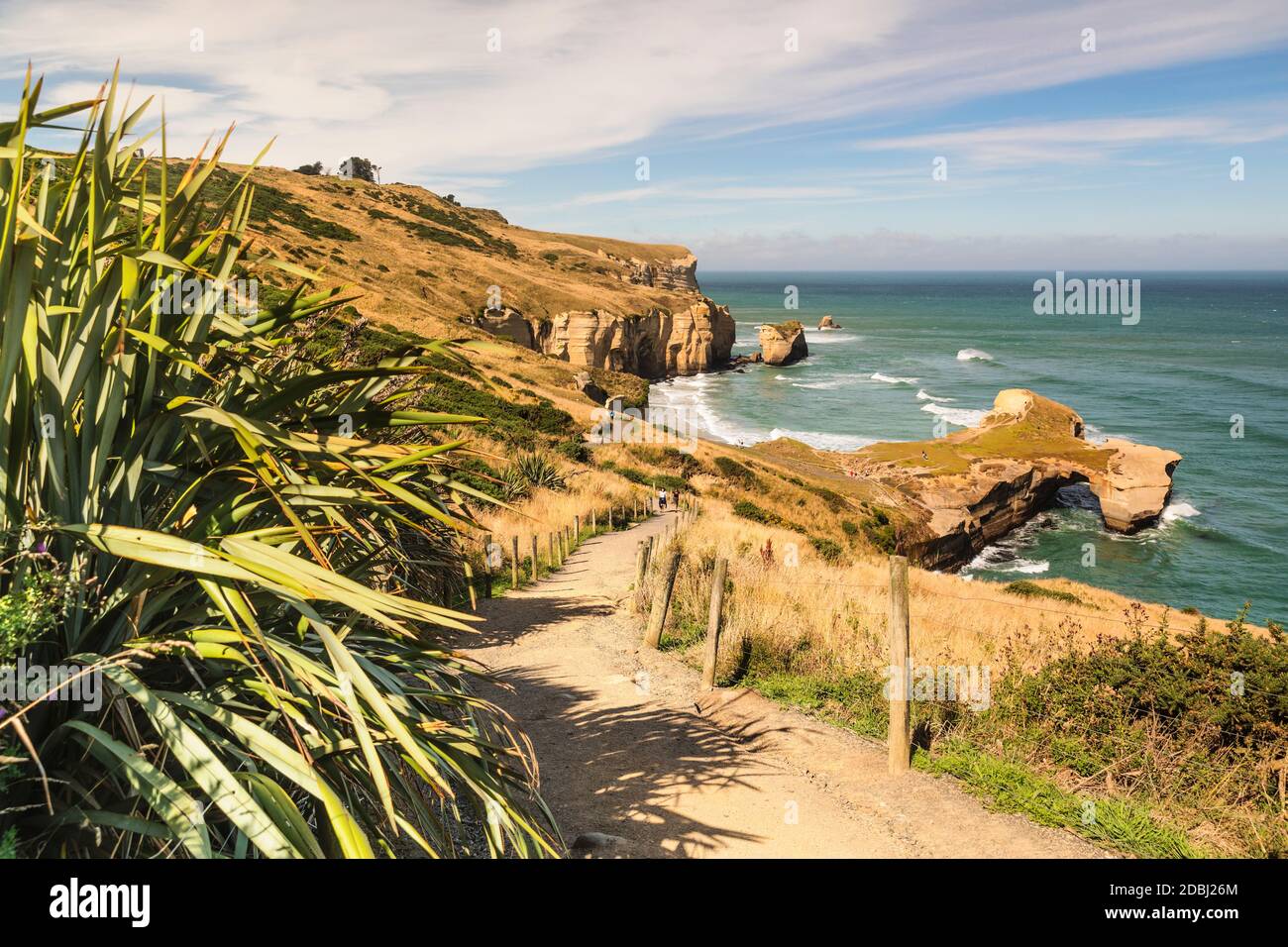 Hiking path to Tunnel Beach, Dunedin, Otago, South Island, New Zealand, Pacific Stock Photo Alamy