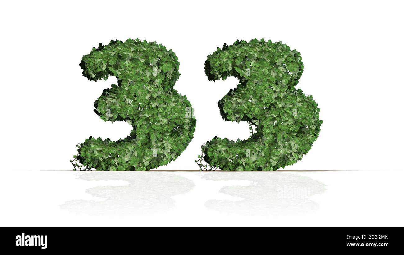 Number 33 created of green ivy leaves - isolated on a white background ...