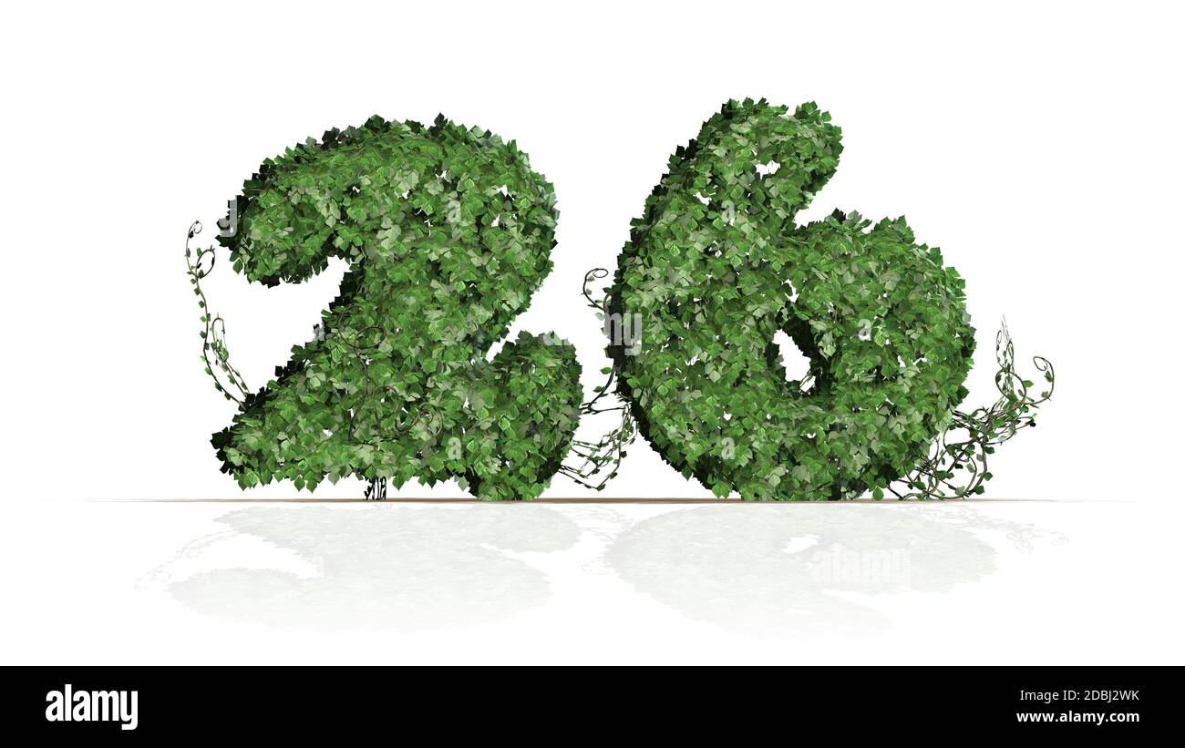 Number 26 created of green ivy leaves - isolated on a white background ...
