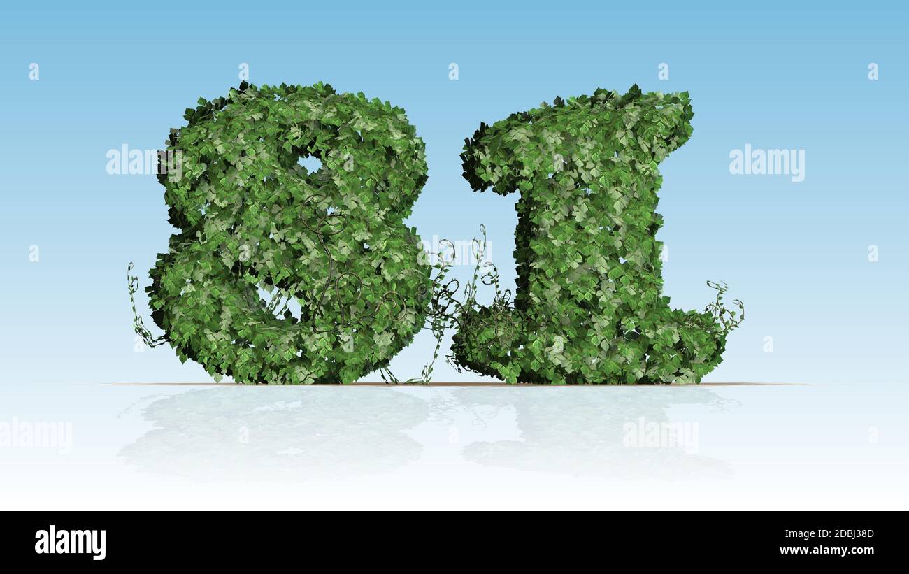 Number 81 created of green ivy leaves Stock Photo