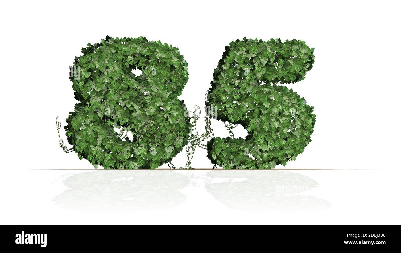 Number 85 created of green ivy leaves - isolated on a white background Stock Photo