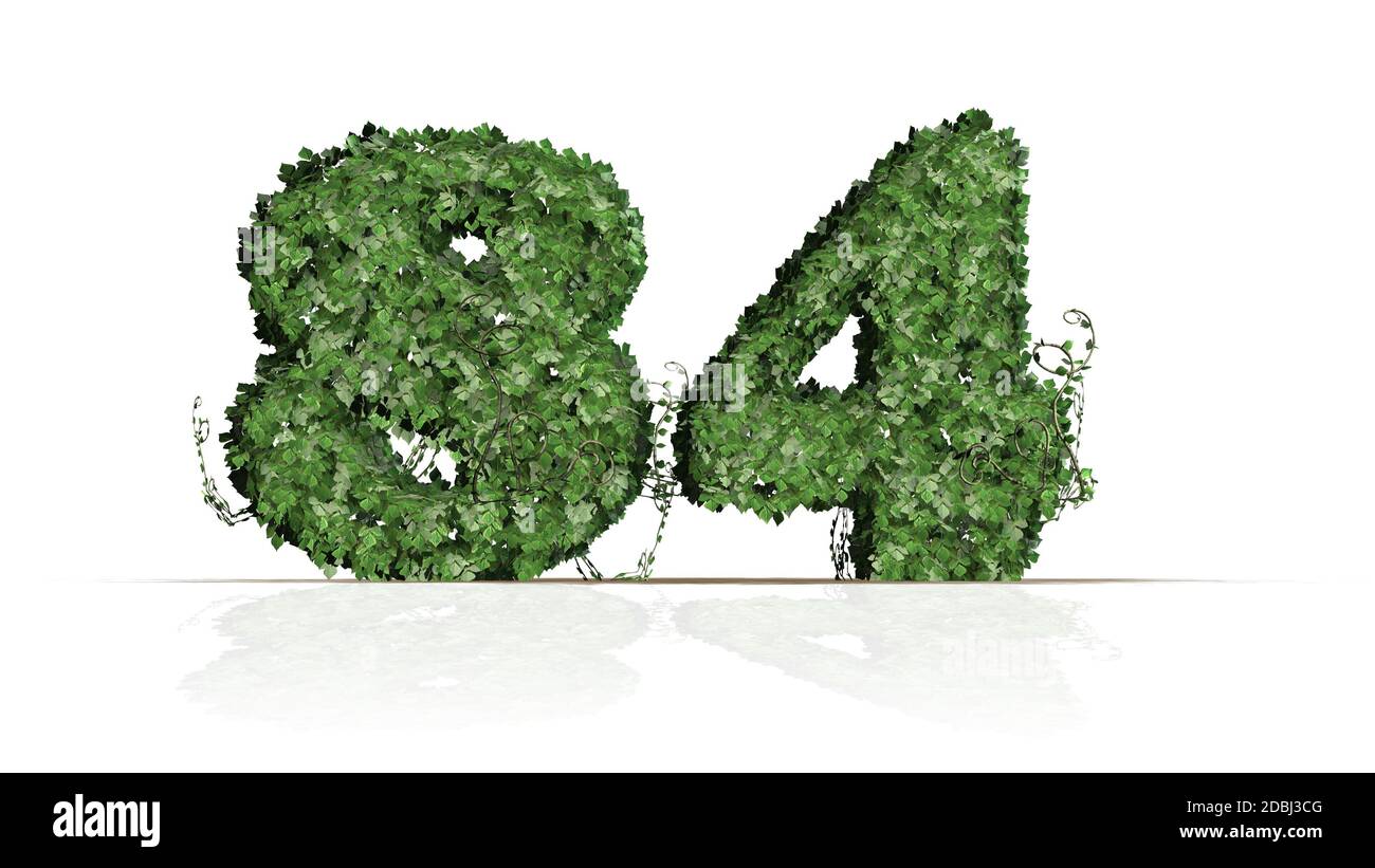 Number 84 created of green ivy leaves - isolated on a white background ...