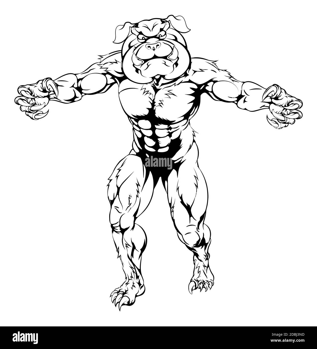 A mean tough muscular bulldog sports mascot character advancing with claws out Stock Photo