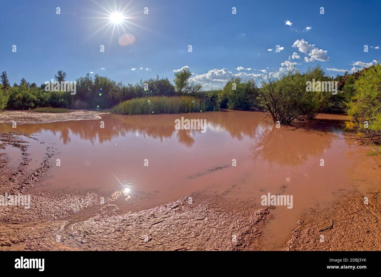 Toxic pond formed from runoff of mine tailings at an abandoned copper mine in the Prescott National Forest near Perkinsville, Arizona, USA Stock Photo