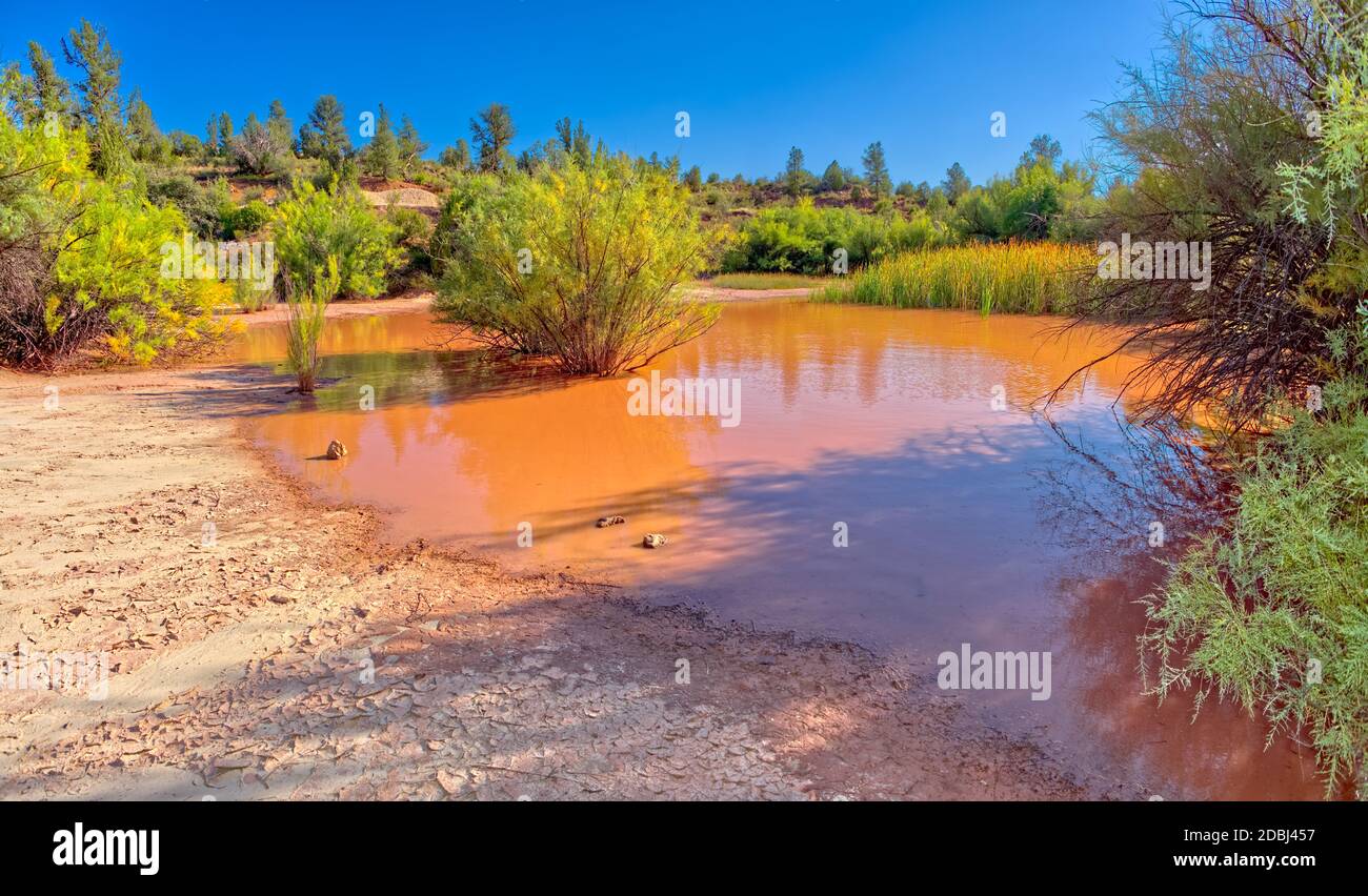 Toxic pond formed from runoff of mine tailings at an abandoned copper mine in the Prescott National Forest near Perkinsville, Arizona, USA Stock Photo