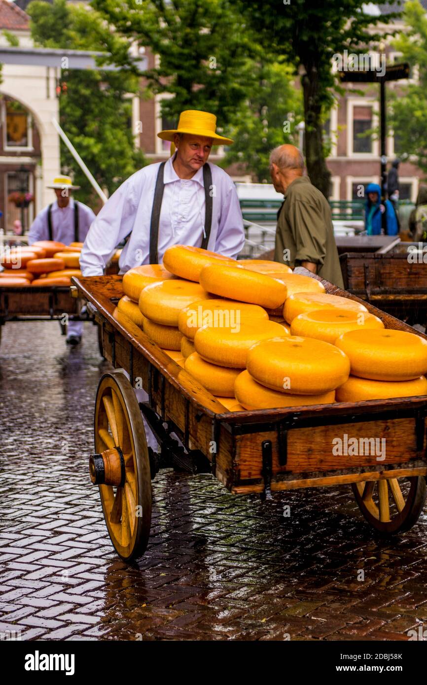 Transporting Gouda cheese wheels on cheese cart from Alkmaar cheese market to shops, Alkmaar, North Holland, Netherlands, Europe Stock Photo