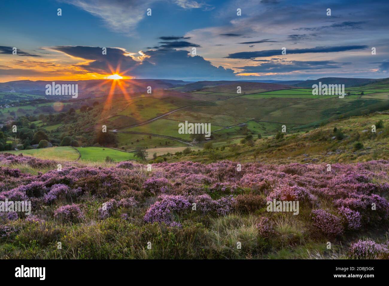 View of flowering heather on Stanage Edge and Hope Valley at sunset, Hathersage, Peak District National Park, Derbyshire, England, United Kingdom Stock Photo