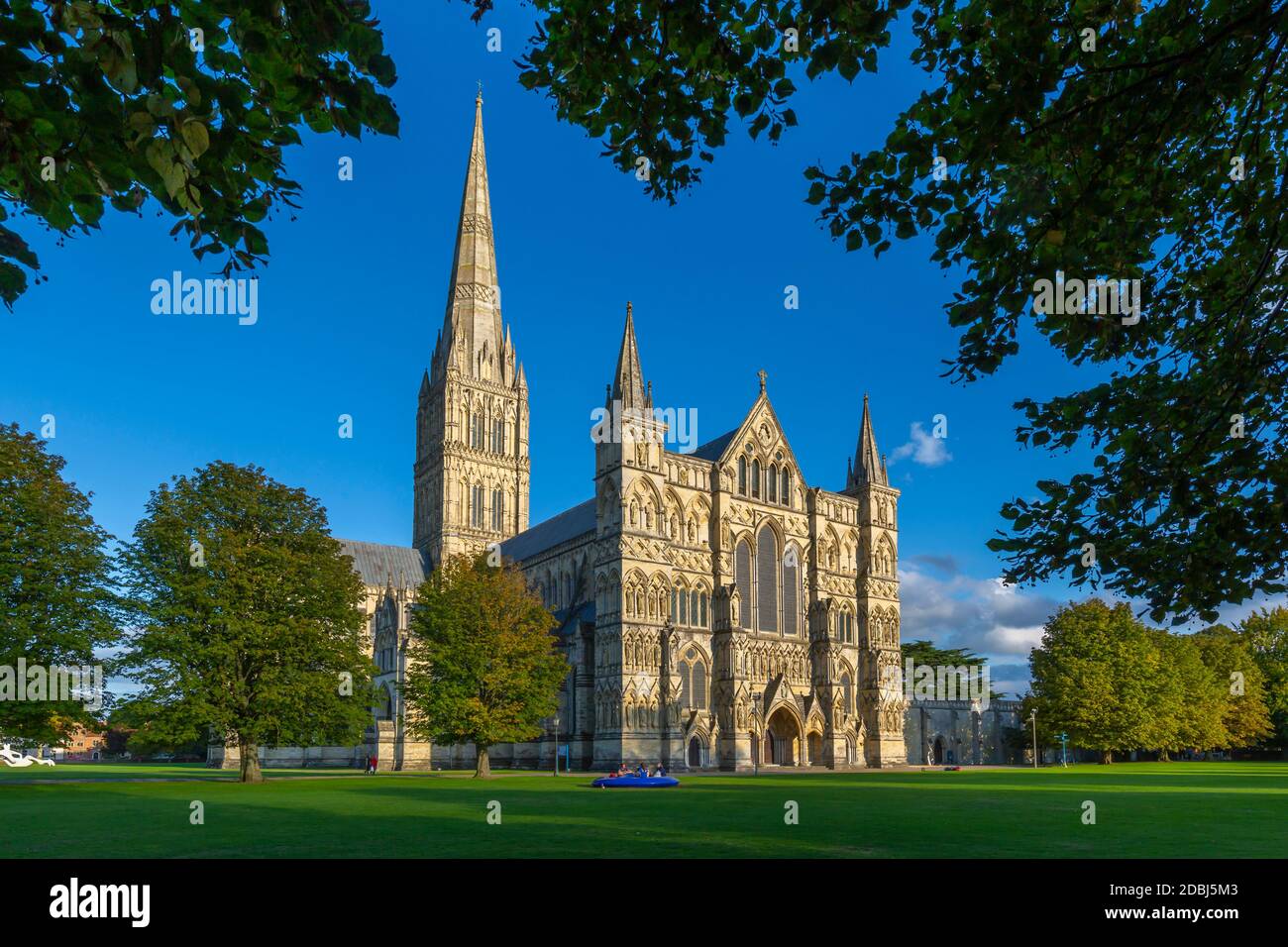View of Salisbury Cathedral framed by trees, Salisbury, Wiltshire, England, United Kingdom, Europe Stock Photo