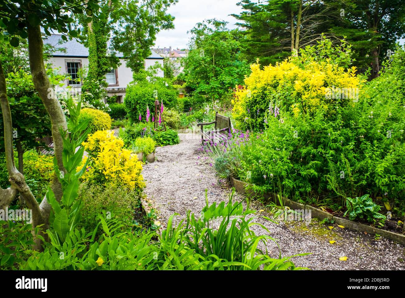 Colourful English summer flower garden with a path under archway Stock Photo Alamy