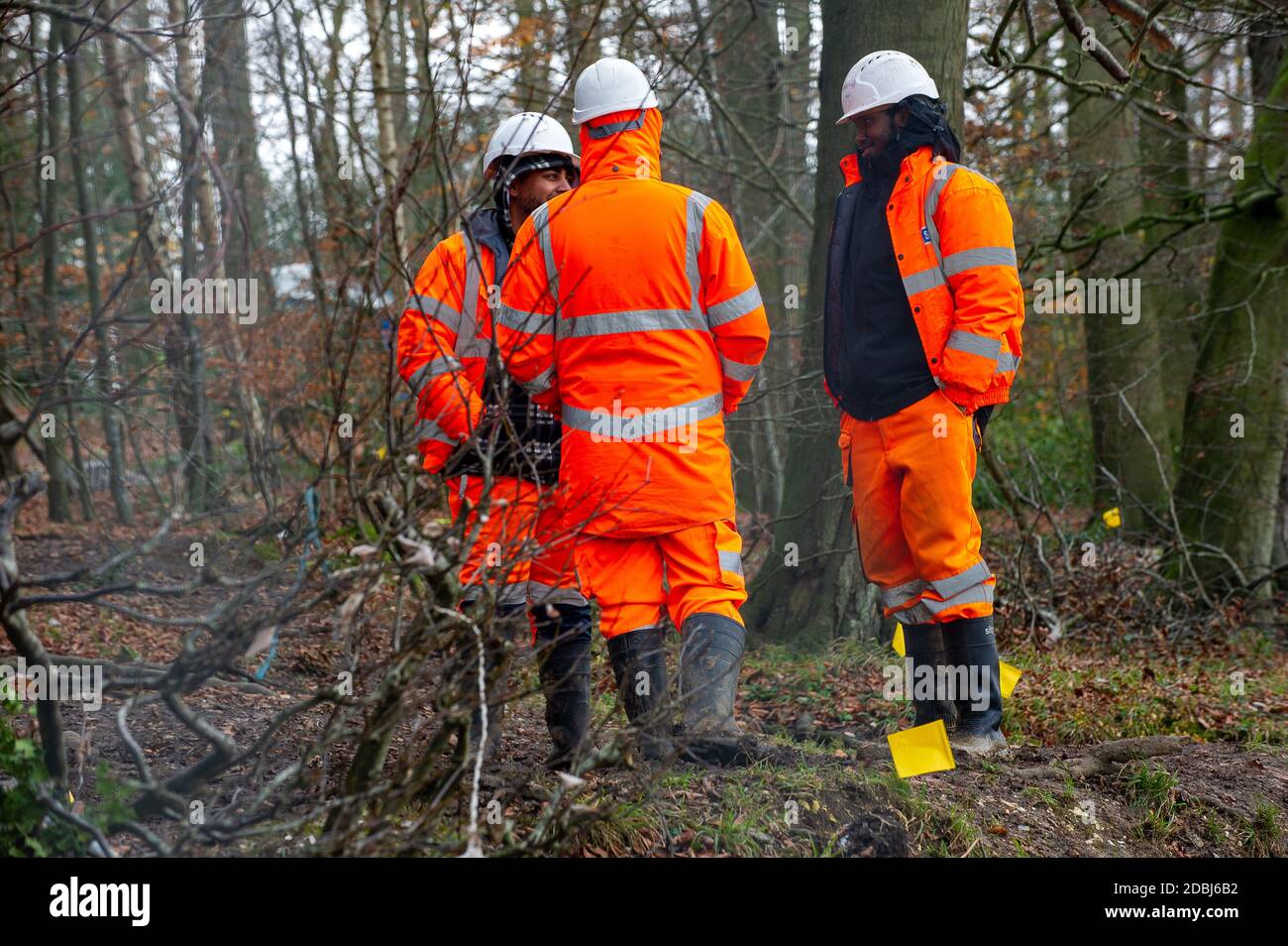 Aylesbury Vale, Buckinghamshire, UK. 17th November, 2020. HS2 workers ignoring social distancing. The Woodland Trust have issued a press release asking for an immediate pause on work at the wood to said that they have “grave concerns” that ancient woodland due for imminent destruction by HS2 Ltd might be felled without proper survey work to identify bat roosts, and without the proper licences required by law. Credit: Maureen McLean/Alamy Live News Stock Photo
