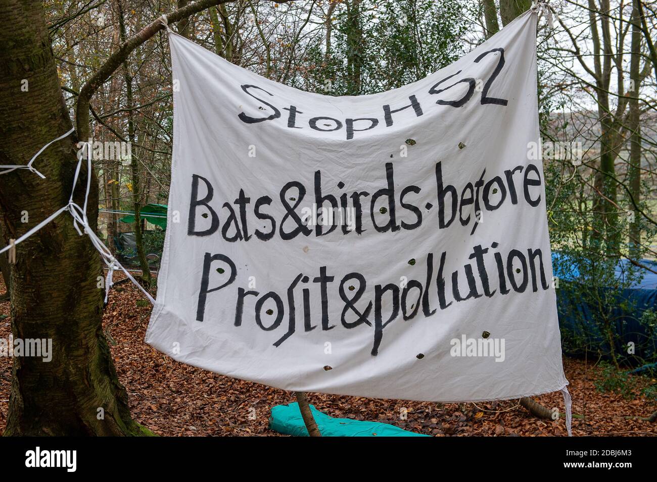 Aylesbury Vale, Buckinghamshire, UK. 17th November, 2020. A Stop HS2, Bats & birds before Profit & Pollution at the Save Roald Dahl camp in Jones Hill Wood. The Woodland Trust have issued a press release asking for an immediate pause on work at the wood to said that they have “grave concerns” that ancient woodland due for imminent destruction by HS2 Ltd might be felled without proper survey work to identify bat roosts, and without the proper licences required by law. Credit: Maureen McLean/Alamy Live News Stock Photo